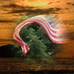 Meet your Posher, Lucy